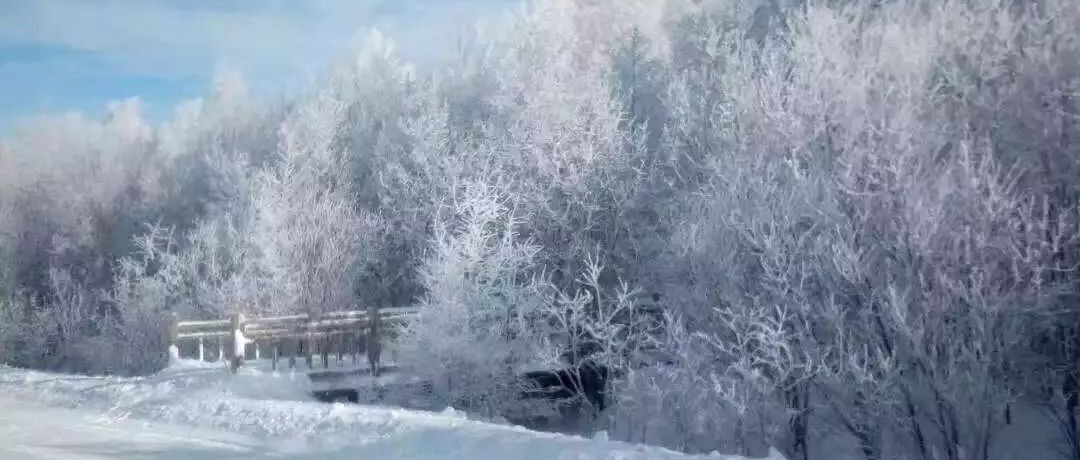 奕行記|奕路向北，駛向雪國阿爾山